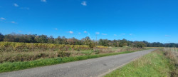 vente Maison à rénover Le Landreau