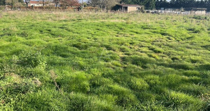 vente Terrain constructible Les Herbiers