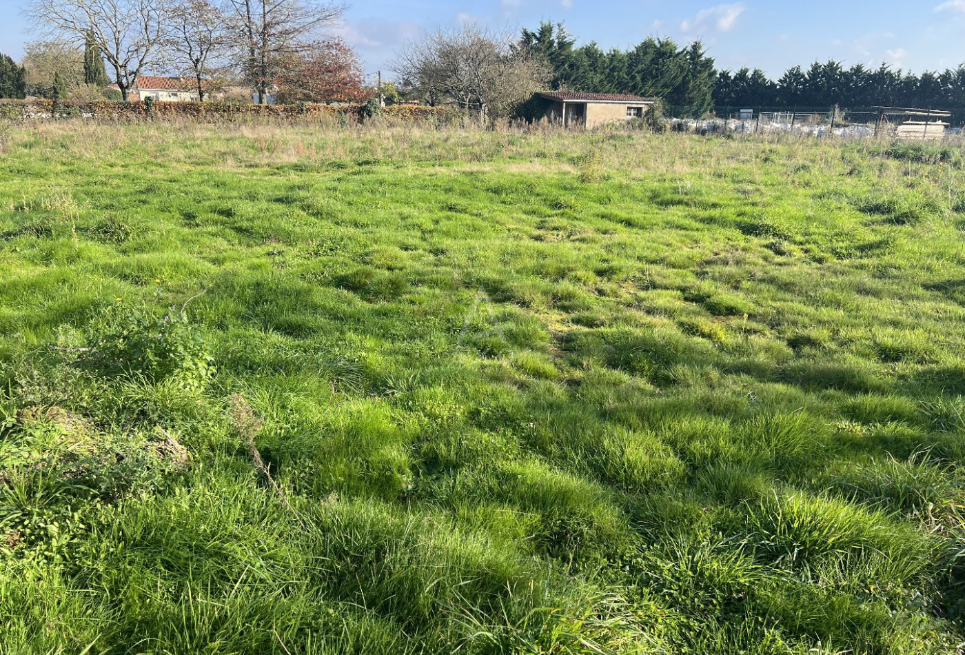 vente Terrain constructible Les Herbiers - Photo 2