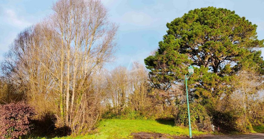 vente Terrain Morannes