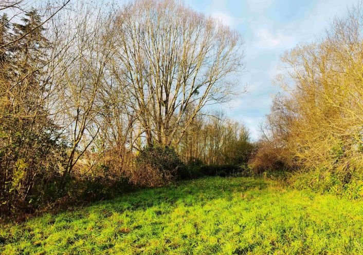 vente Terrain Morannes