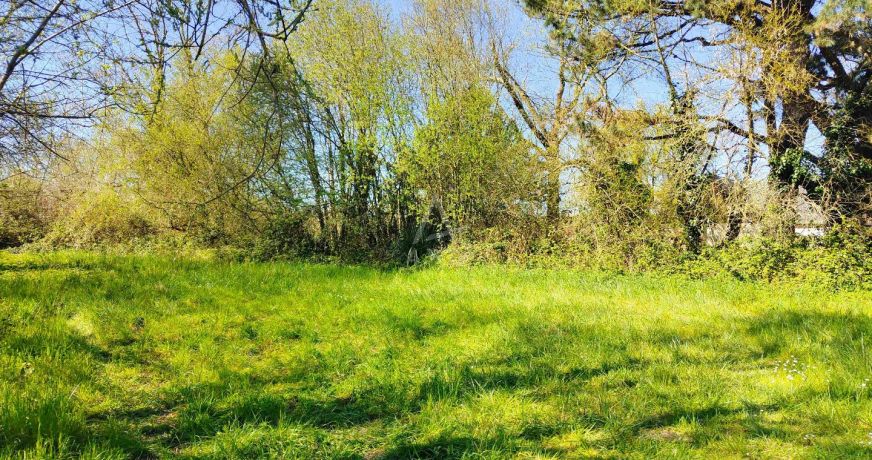 vente Terrain Morannes