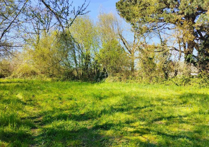 vente Terrain Morannes