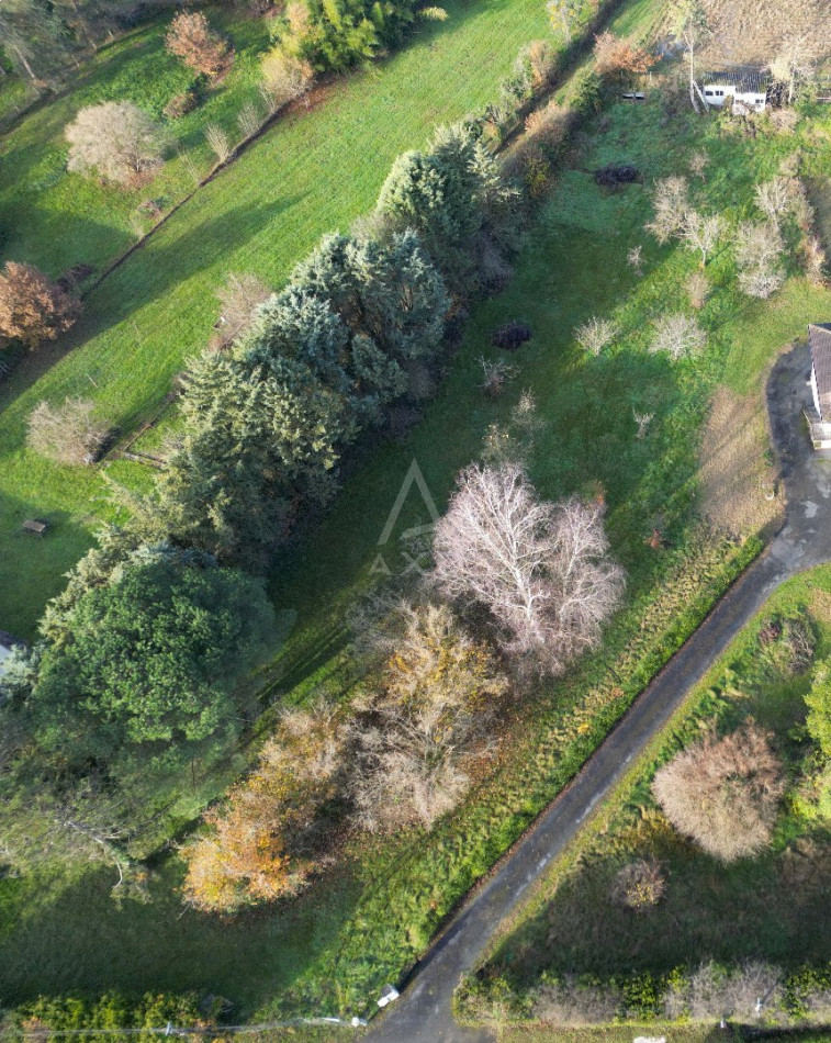 vente Terrain Mignaloux Beauvoir - Photo 8