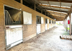 vente Haras / equestre Caen