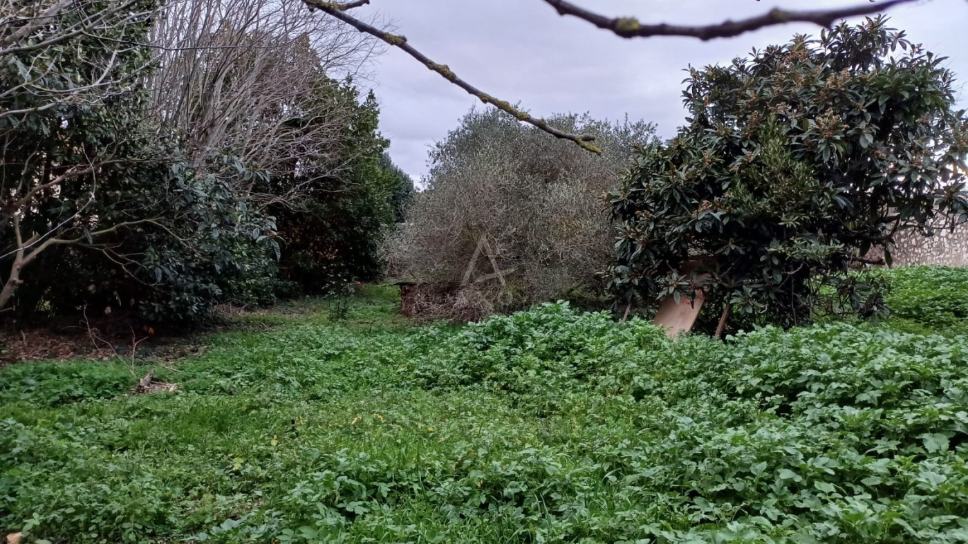 vente Remise en pierre Coursan - Photo 4