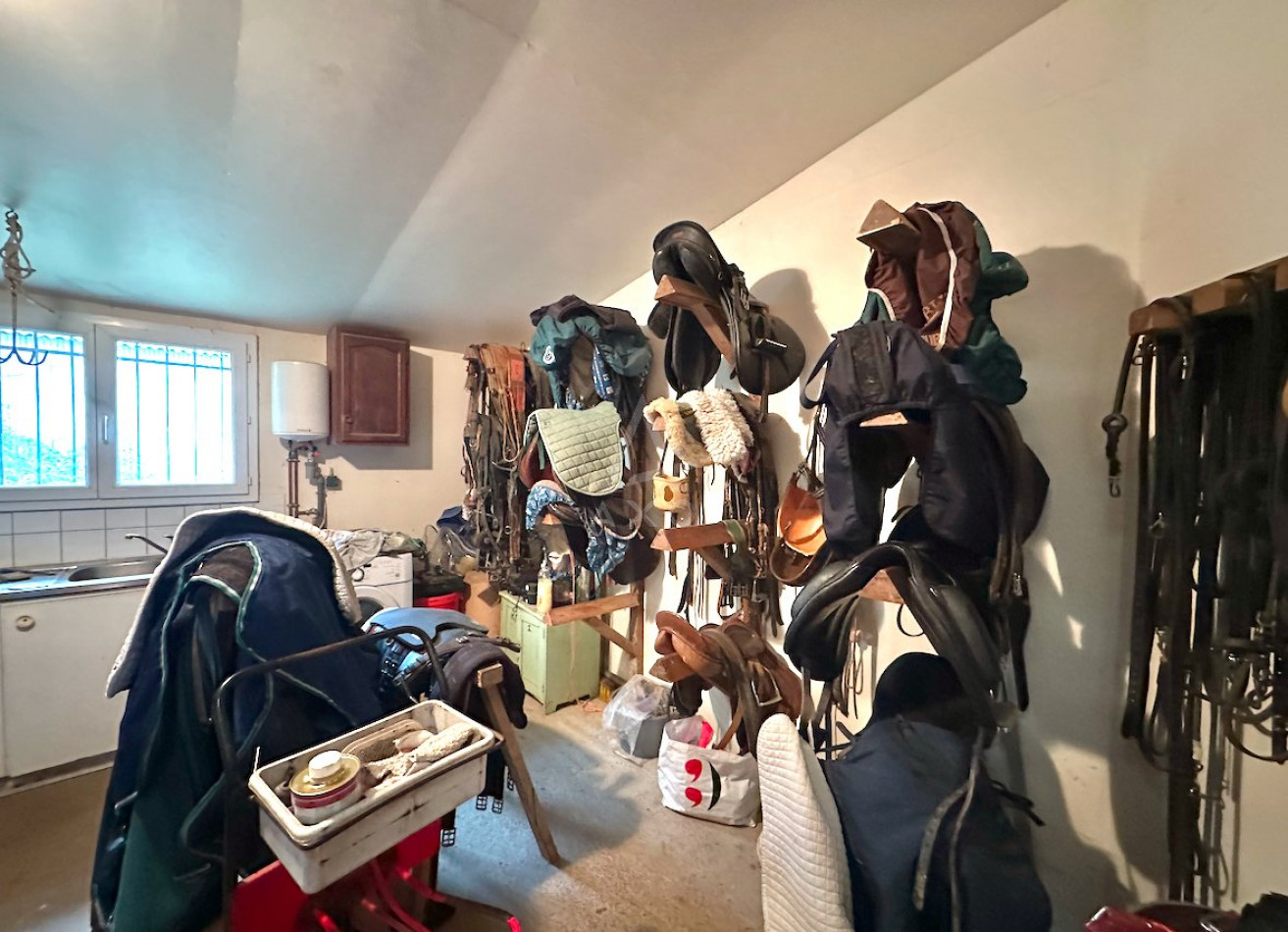 vente Haras / equestre Nogent Le Rotrou - Photo 14