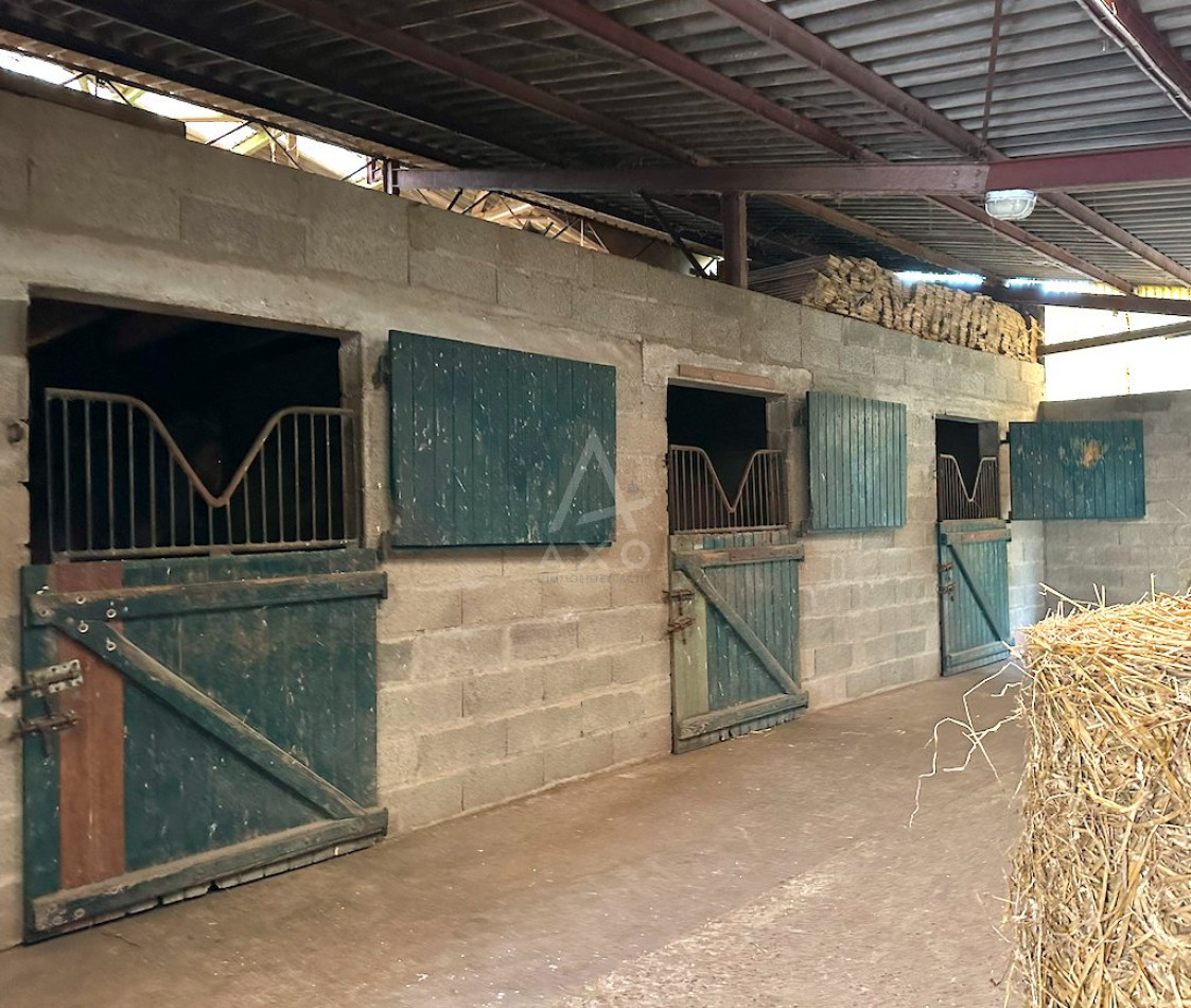 vente Haras / equestre Nogent Le Rotrou - Photo 15