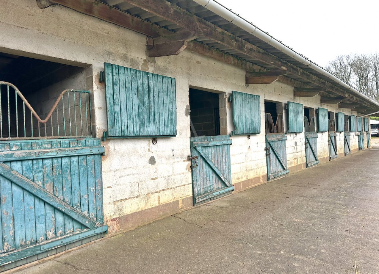 vente Haras / equestre Nogent Le Rotrou - Photo 17