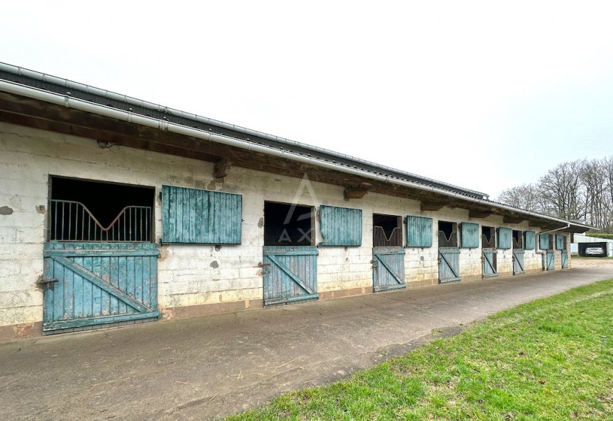 vente Haras / equestre Brou - Photo 5