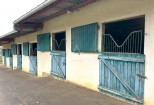 vente Haras / equestre Brou