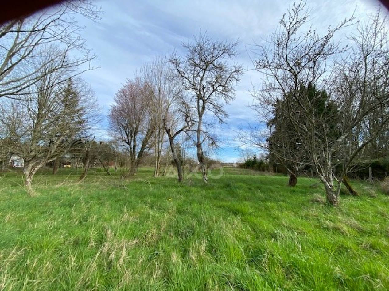 vente Fermette Saint Brisson Sur Loire - Photo 12