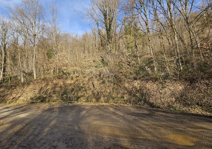 vente Terrain boisé – forêt Cesarches