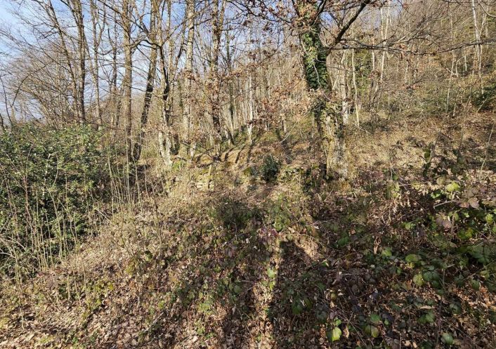 vente Terrain boisé – forêt Cesarches
