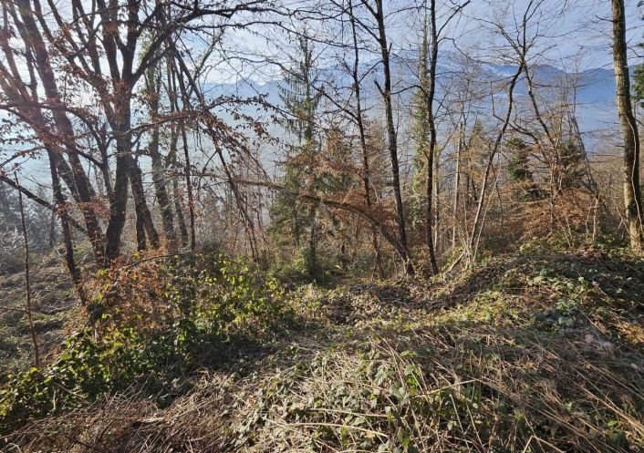 vente Terrain boisé – forêt Cesarches
