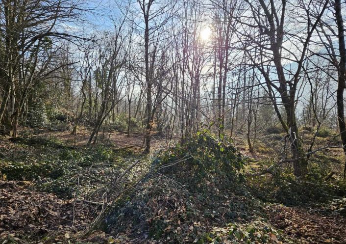 vente Terrain boisé – forêt Cesarches