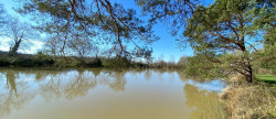 vente Etang Saint Brisson Sur Loire