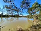 vente Etang Saint Brisson Sur Loire