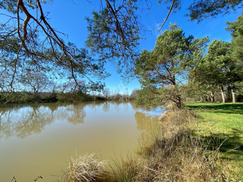 vente Etang Saint Brisson Sur Loire - Photo 1