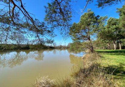vente Etang Saint Brisson Sur Loire