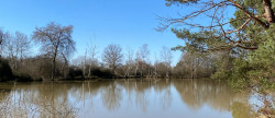vente Etang Saint Brisson Sur Loire