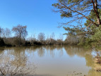 vente Etang Saint Brisson Sur Loire