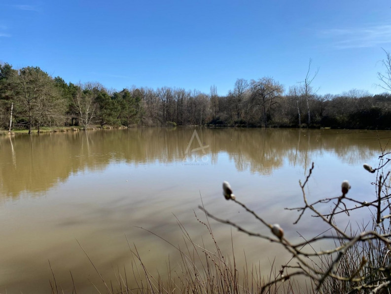 vente Etang Saint Brisson Sur Loire - Photo 9
