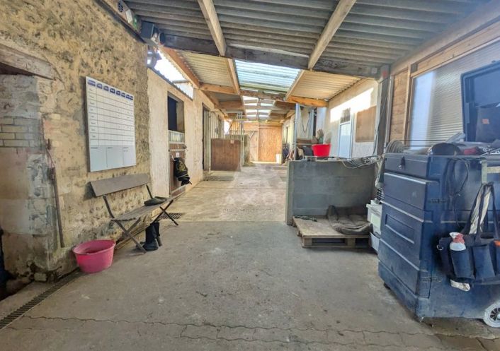 vente Haras / equestre La Ferte Bernard