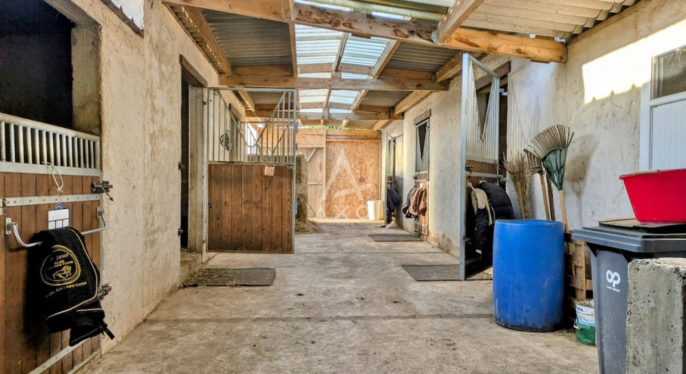 vente Haras / equestre La Ferte Bernard - Photo 1
