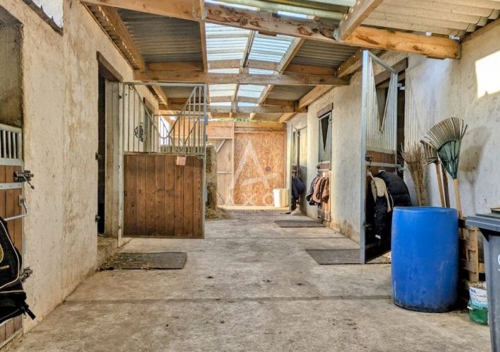 vente Haras / equestre La Ferte Bernard