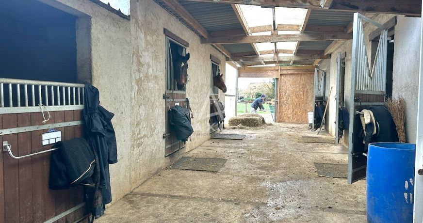vente Haras / equestre La Ferte Bernard