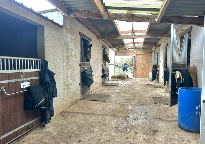 vente Haras / equestre La Ferte Bernard
