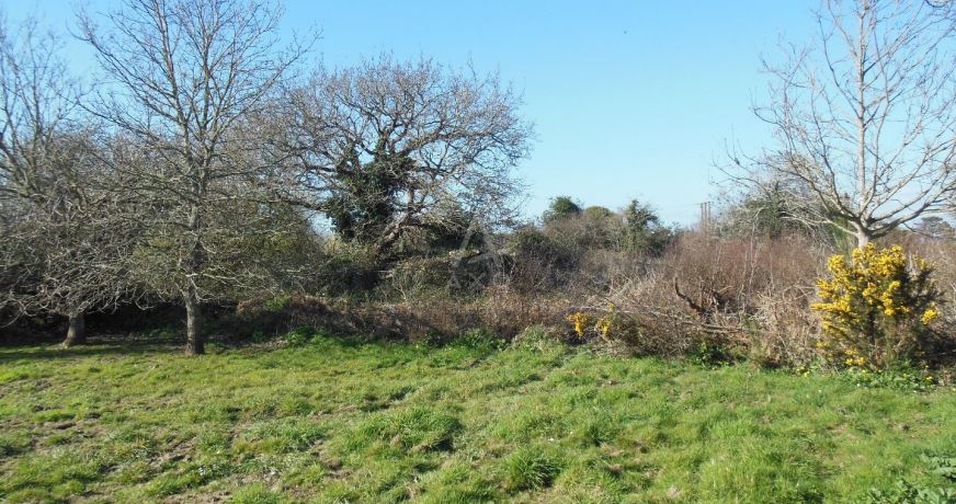 vente Terrain à aménager Crozon