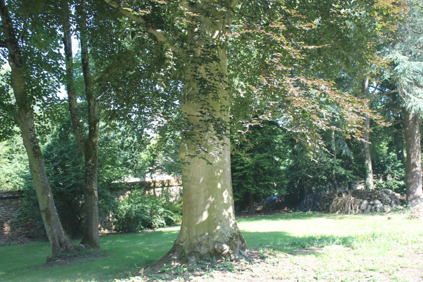 vente Château Guingamp - Photo 8