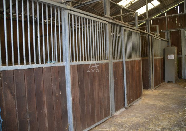 vente Haras / equestre Villemer