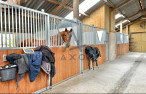 vente Haras / equestre Agon Coutainville