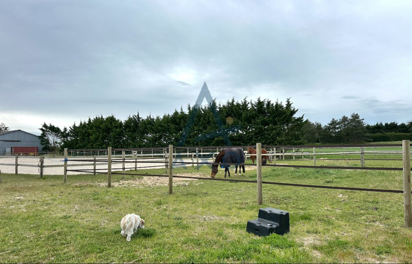 vente Haras / equestre Agon Coutainville - Photo 8