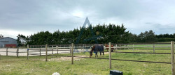 vente Haras / equestre Agon Coutainville