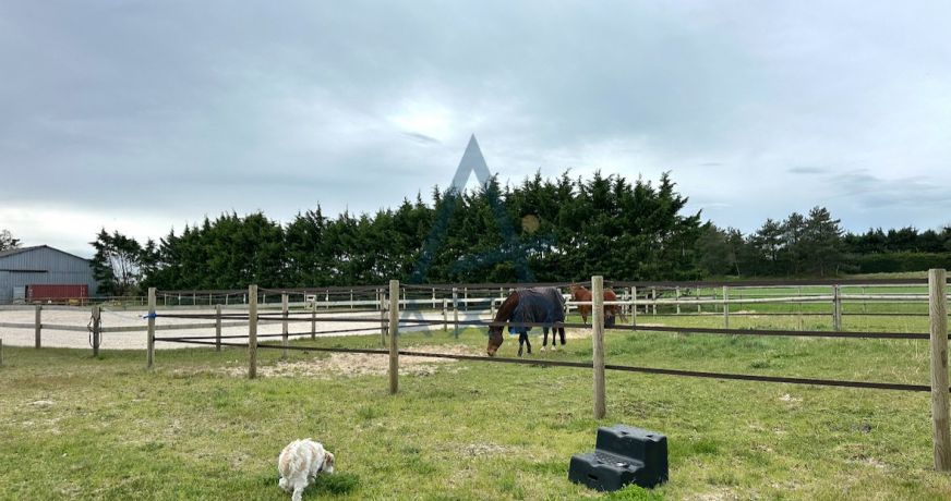 vente Haras / equestre Agon Coutainville