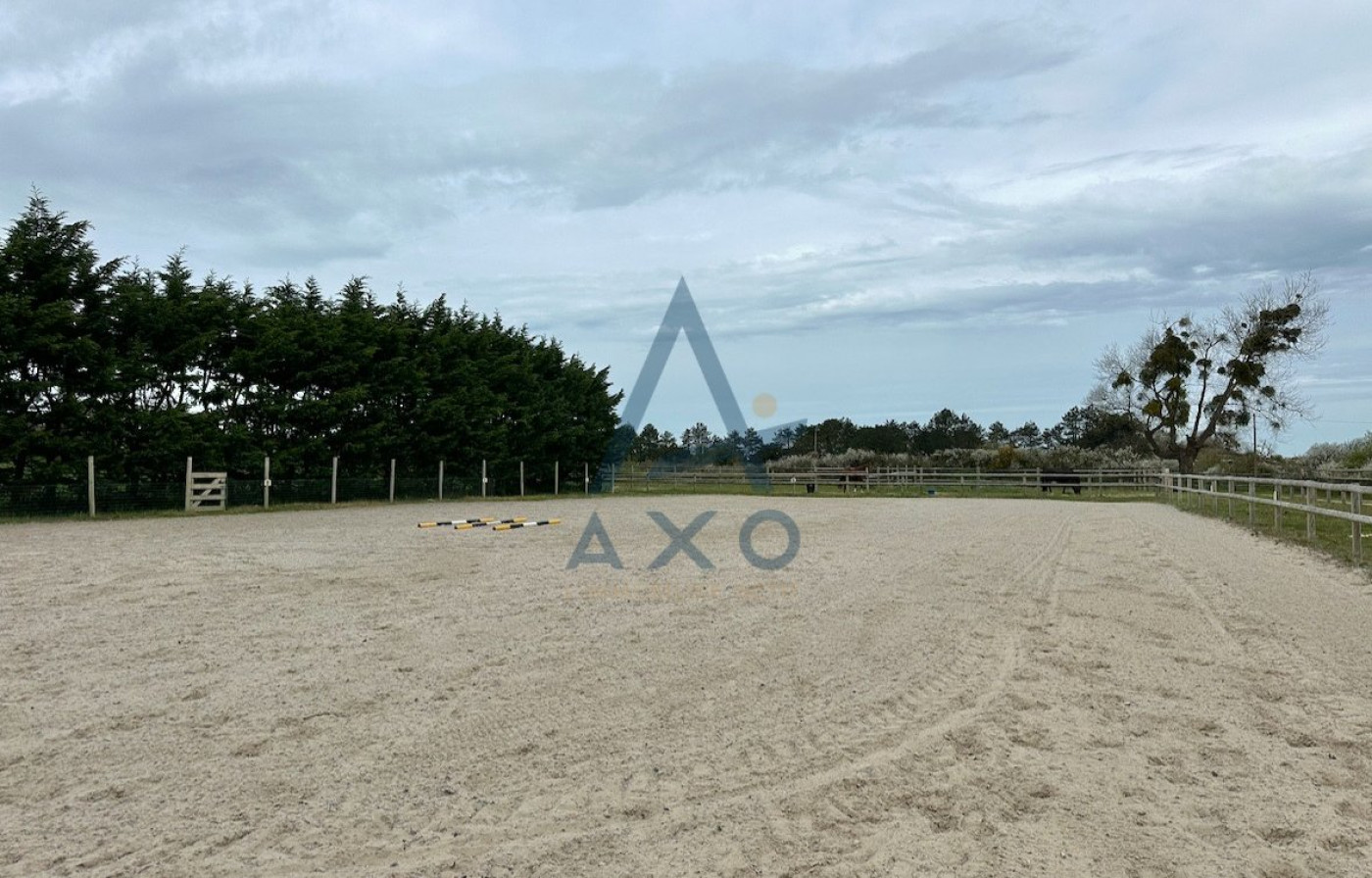 vente Haras / equestre Agon Coutainville - Photo 7