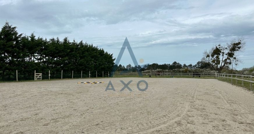 vente Haras / equestre Agon Coutainville