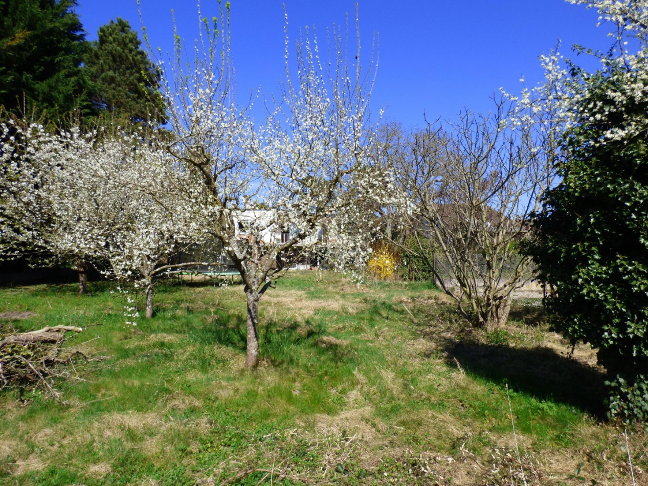 vente Maison à rénover Colmar - Photo 6