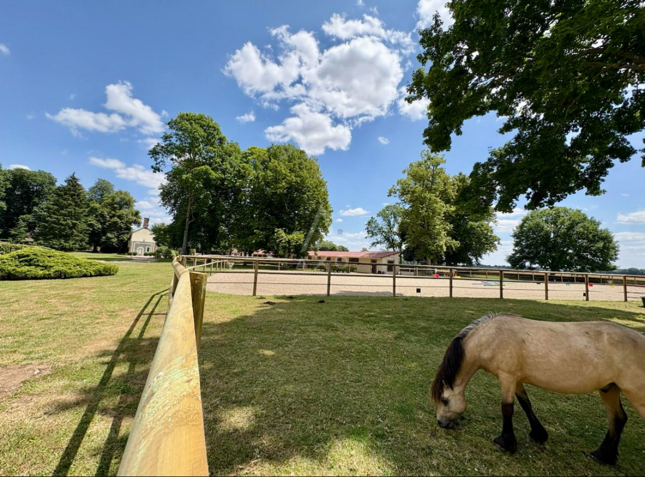vente Haras / equestre Evreux - Photo 9