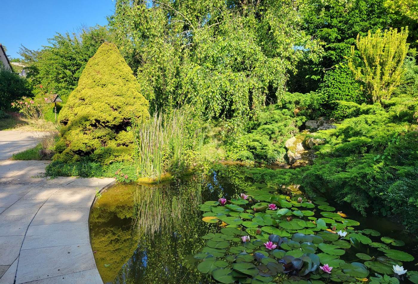 vente Maison de caractère Epernay - Photo 2