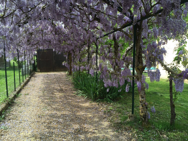 vente Maison Siorac En Perigord - Photo 7
