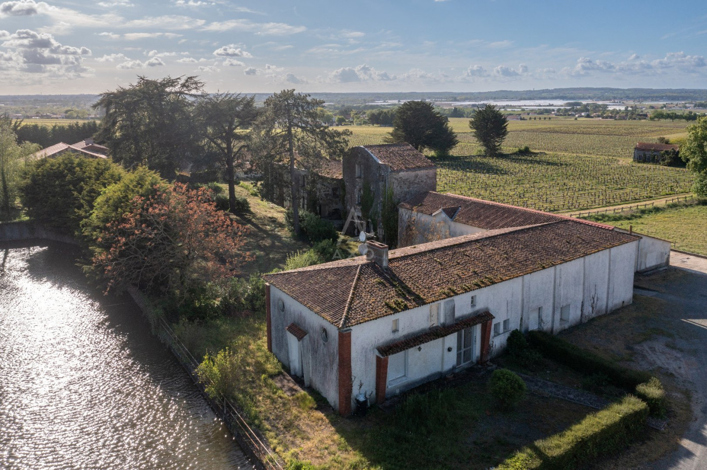 vente Domaine Le Loroux Bottereau - Photo 1