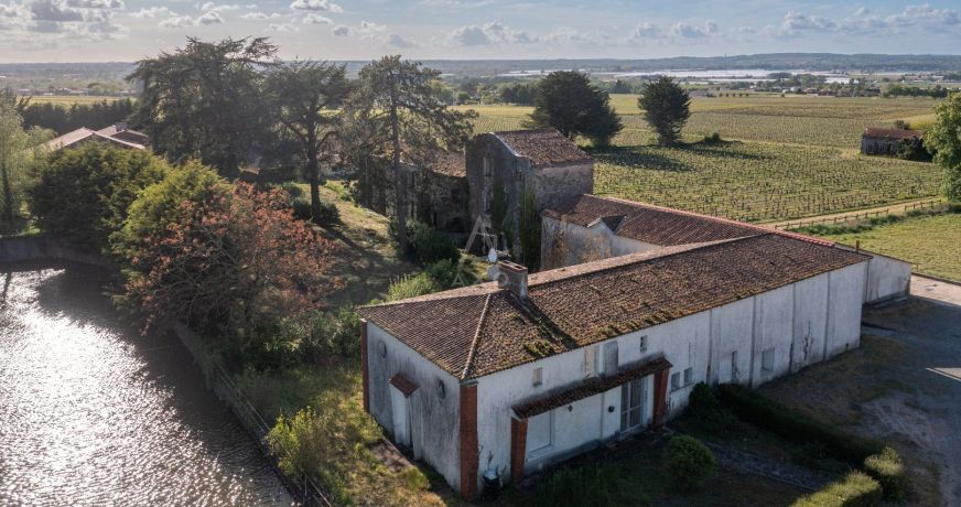 vente Domaine Le Loroux Bottereau