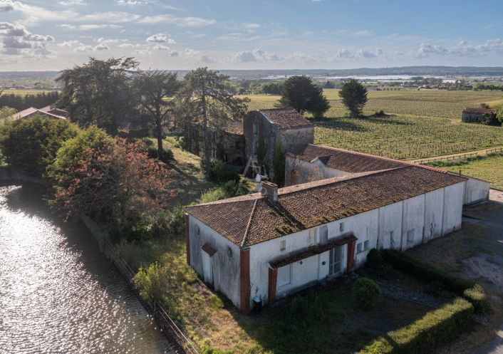 vente Domaine Le Loroux Bottereau