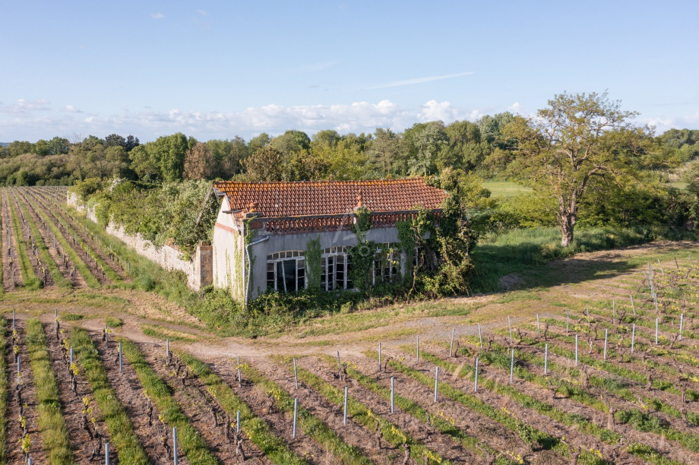 vente Domaine Le Loroux Bottereau - Photo 11