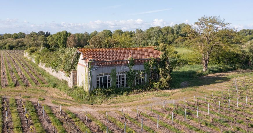vente Domaine Le Loroux Bottereau